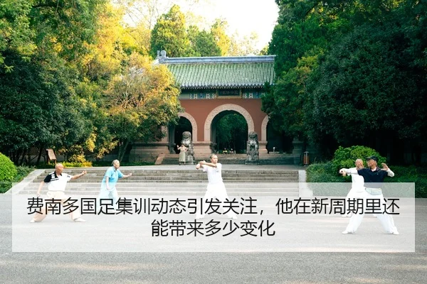 费南多国足集训动态引发关注，他在新周期里还能带来多少变化 - kaiyun